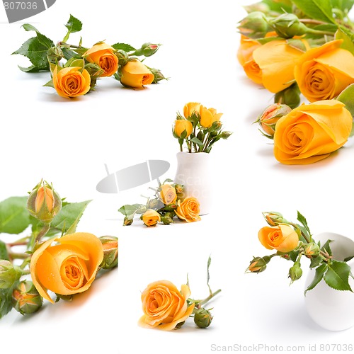 Image of yellow flowers