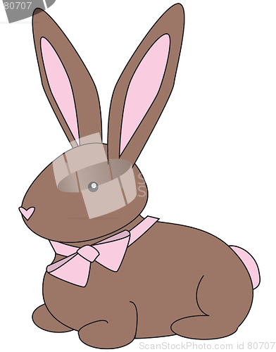 Image of Brown Bunny