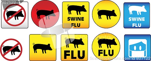 Image of Swine Flu Signs