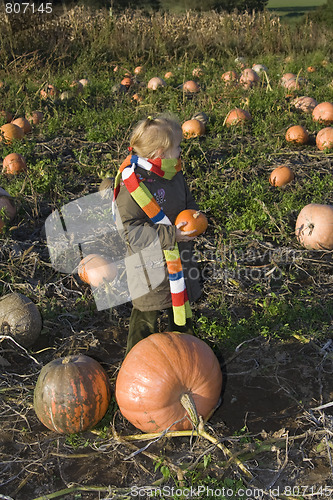 Image of Children on pumpkin field