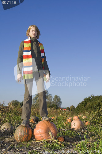 Image of Children on pumpkin field