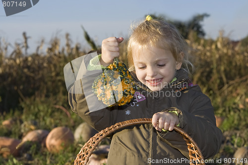 Image of Children on pumpkin field