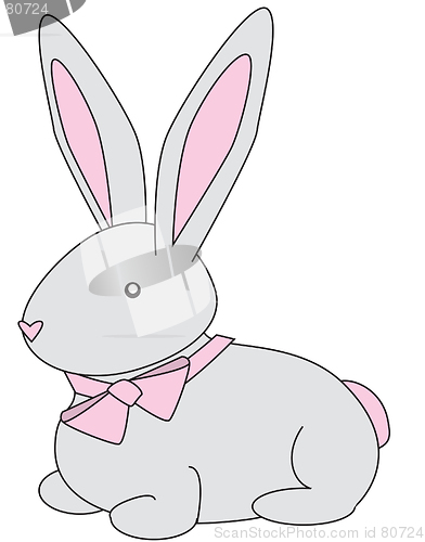 Image of Bunny Gray