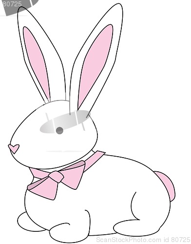 Image of Bunny Pink