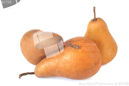 Image of Bosc Pears
