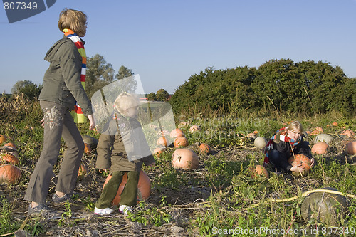 Image of Children on pumpkin field