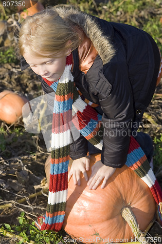 Image of Children on pumpkin field