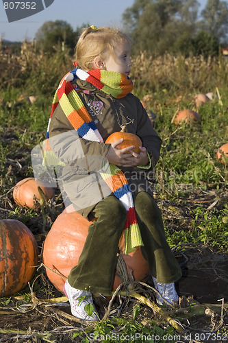 Image of Children on pumpkin field