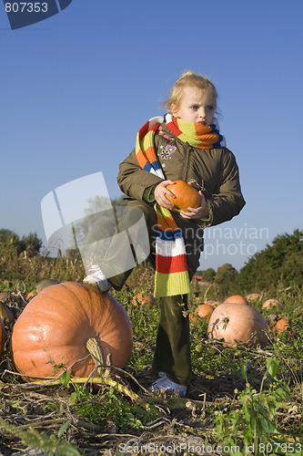 Image of Children on pumpkin field