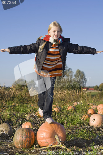 Image of Children on pumpkin field