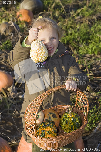 Image of Children on pumpkin field