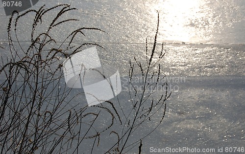 Image of winter field