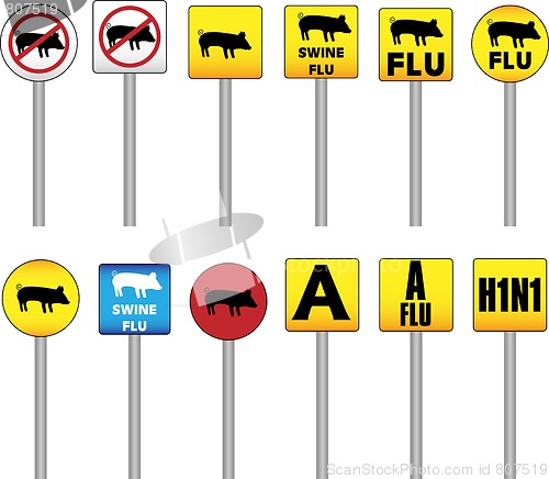 Image of Swine Flu Signs