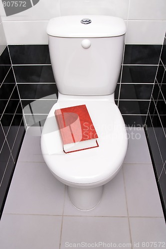 Image of Book in the toilet