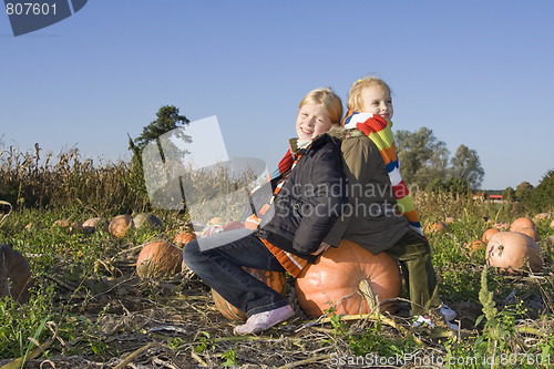 Image of Children on pumpkin field