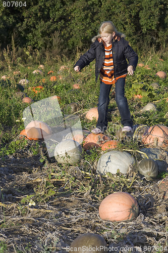 Image of Children on pumpkin field