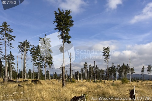 Image of Autumnal landscape