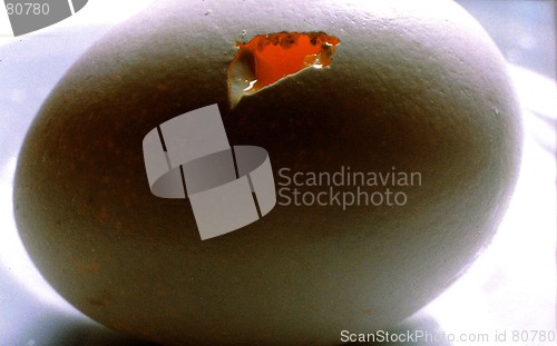 Image of broken egg