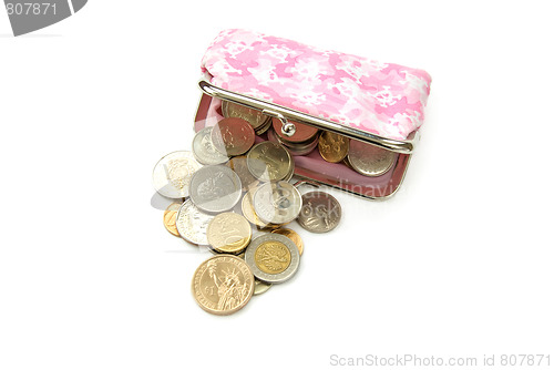 Image of purse with coins