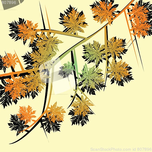 Image of Autumn foliage