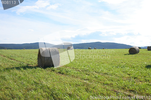 Image of czech summer country