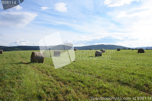 Image of czech summer country
