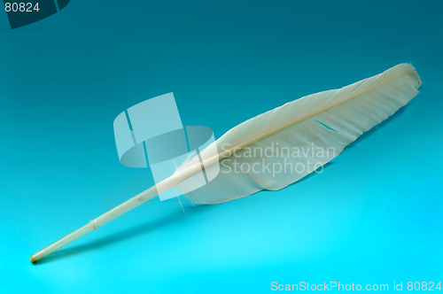 Image of Goose feather