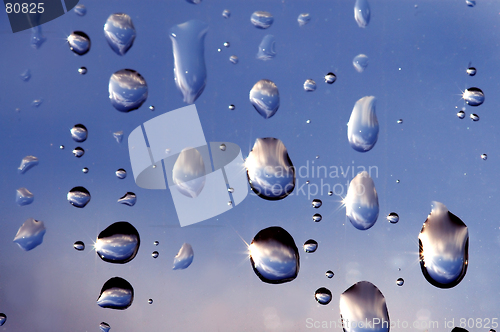 Image of Rain drops