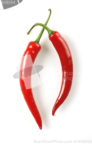 Image of Red peppers isolated on white