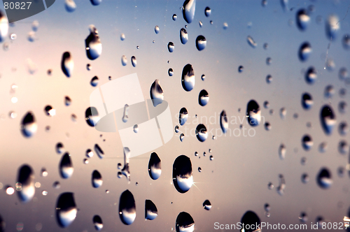 Image of Rain drops