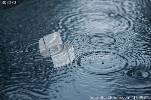 Image of Raindrops