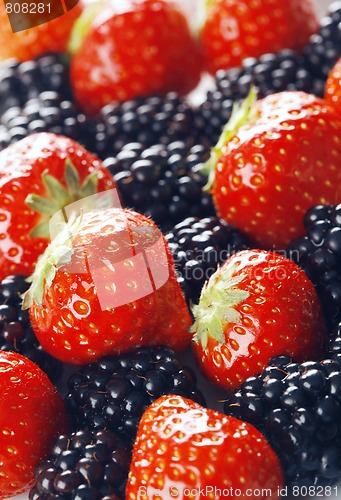 Image of Berries close-up