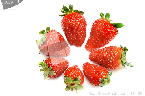 Image of Strawberry