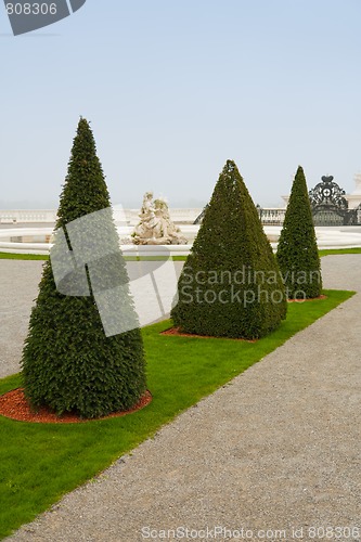 Image of pyramid shaped trees