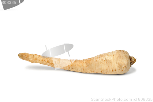 Image of Parsley