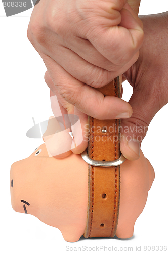 Image of Piggy Bank and Belt