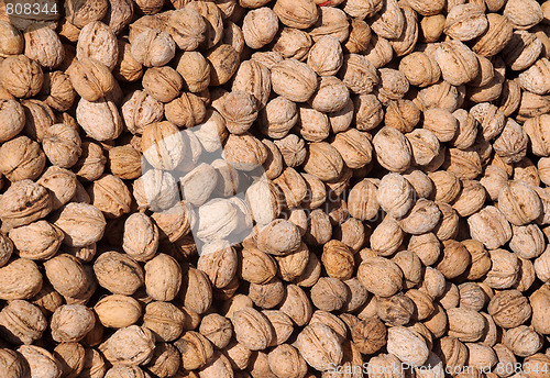 Image of Closeup Walnuts on the Market