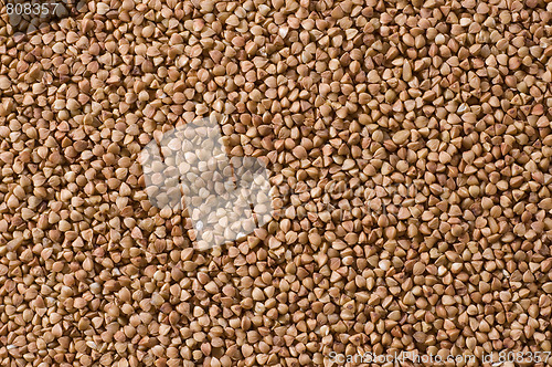 Image of buckwheat background