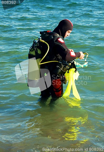 Image of diver prepares