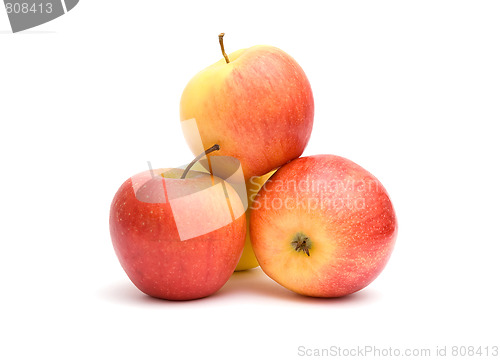 Image of Red-yellow apples