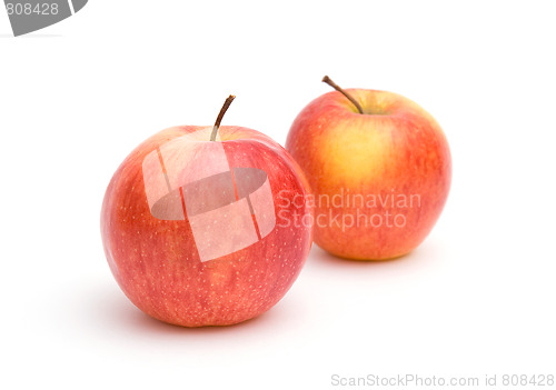 Image of Two red-yellow apples