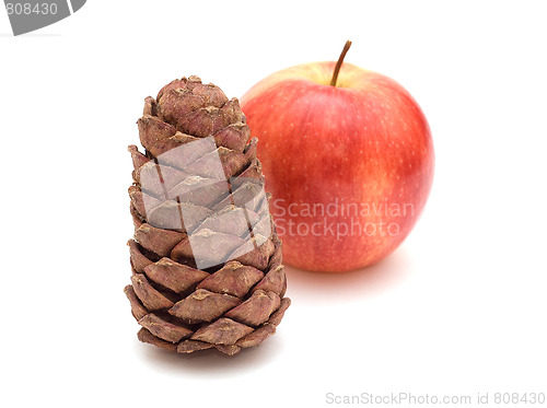 Image of Cedar cone and apple