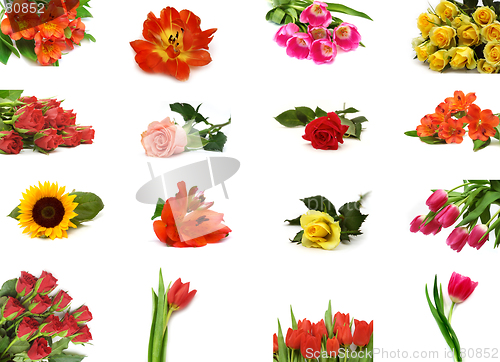 Image of Flower collection