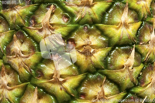 Image of Pineapple detail