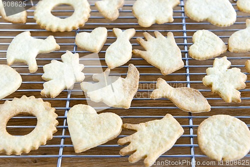 Image of Cooling freshly baked cookies