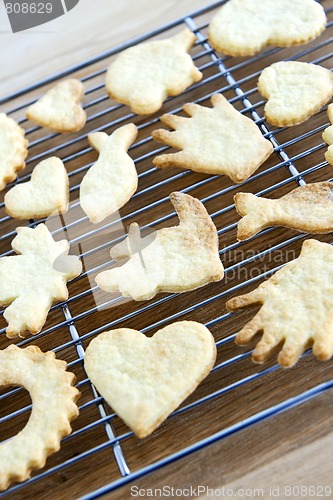 Image of Cooling freshly baked cookies