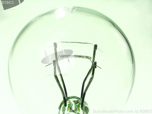 Image of bulb