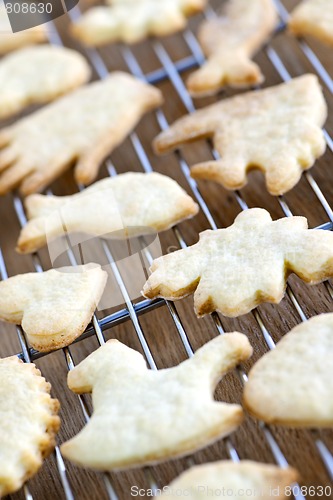 Image of Cooling freshly baked cookies