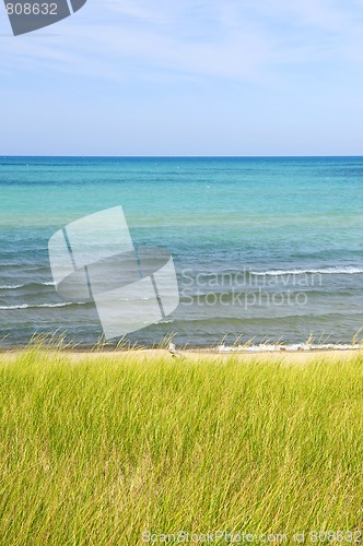 Image of Sand dunes at beach