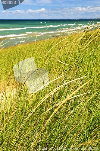 Image of Sand dunes at beach